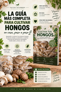 La guía mas completa para cultivar hongos